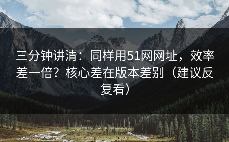 三分钟讲清：同样用51网网址，效率差一倍？核心差在版本差别（建议反复看）